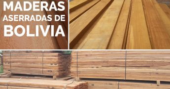ROBLE BLANCO EN CHAPAS - Ferraro Wood Specialist