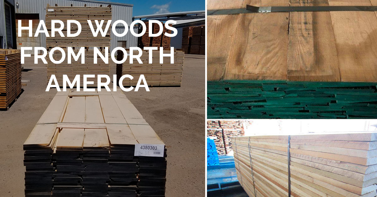 top-15-hardest-woods-in-the-world-you-won-t-believe-1